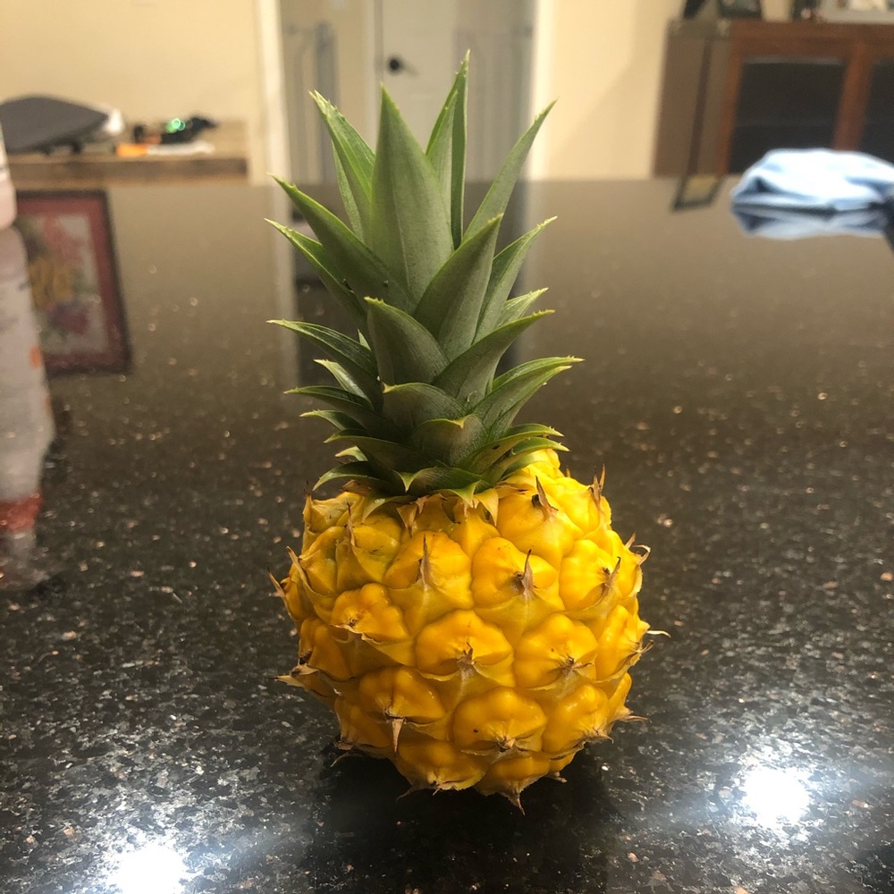 Meet your Posher, Haylee